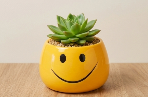 Blumentopf Smiley "Lachen"
