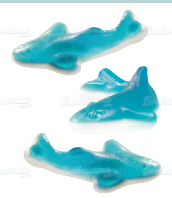 Requin Bleu - Bonbon gélifié forme requin