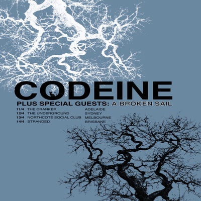 zal-codeine-standard.jpg