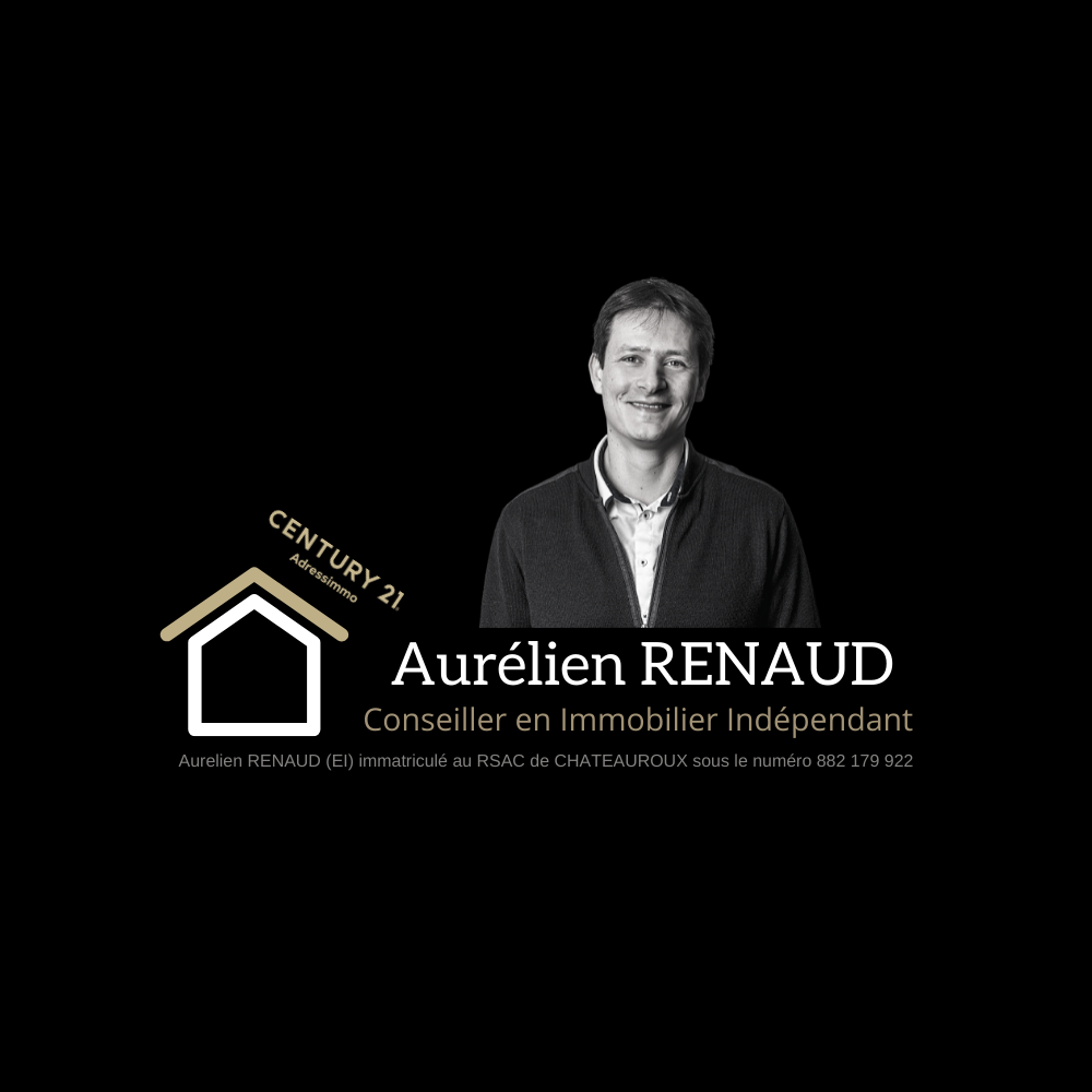 Logo de l'agence Renaud Aurélien Century 21