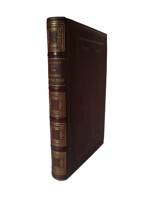 Les illustres chevaliers sous Charles VI - Todière