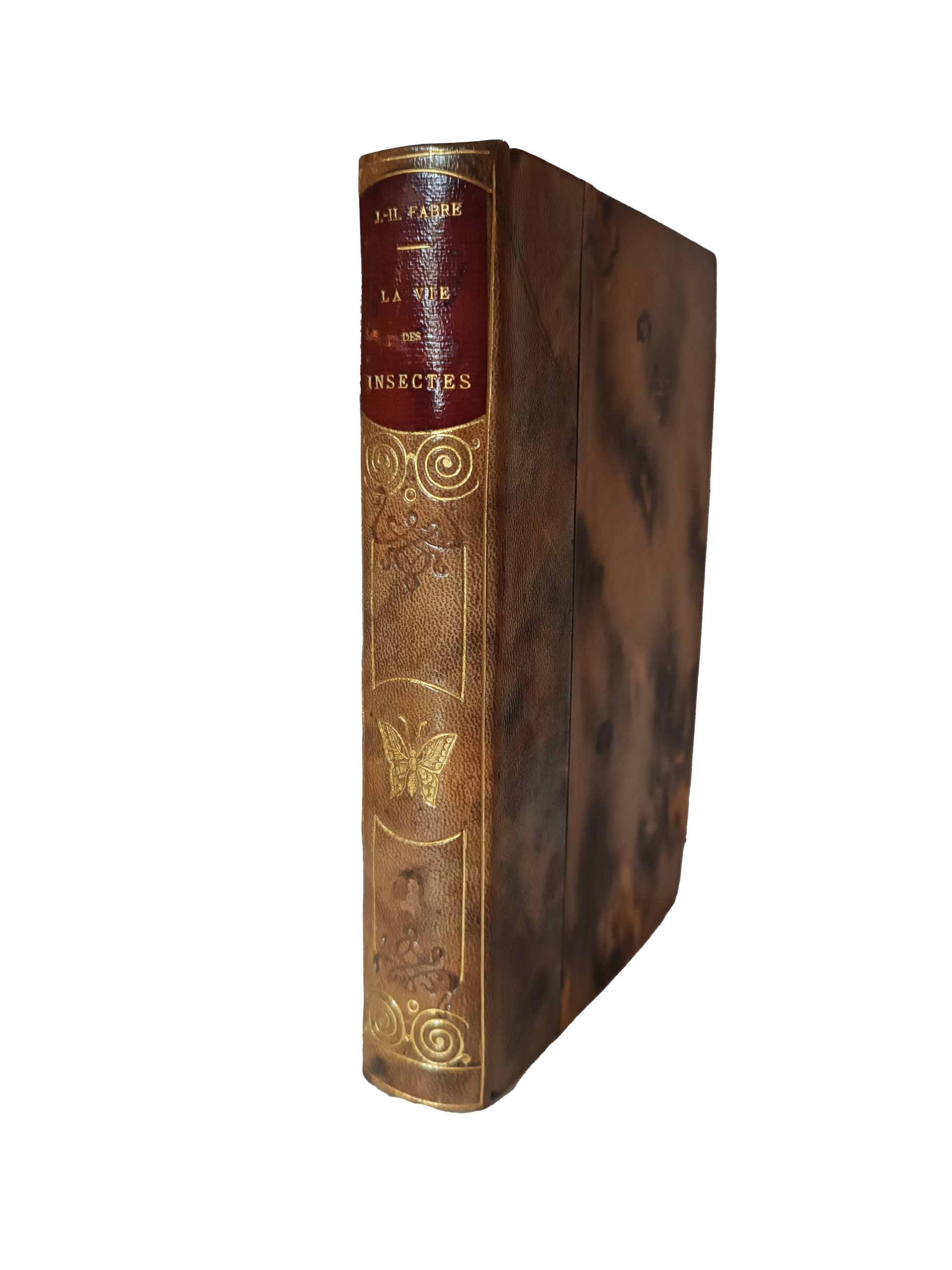 La vie des insectes - J. -H. Fabre