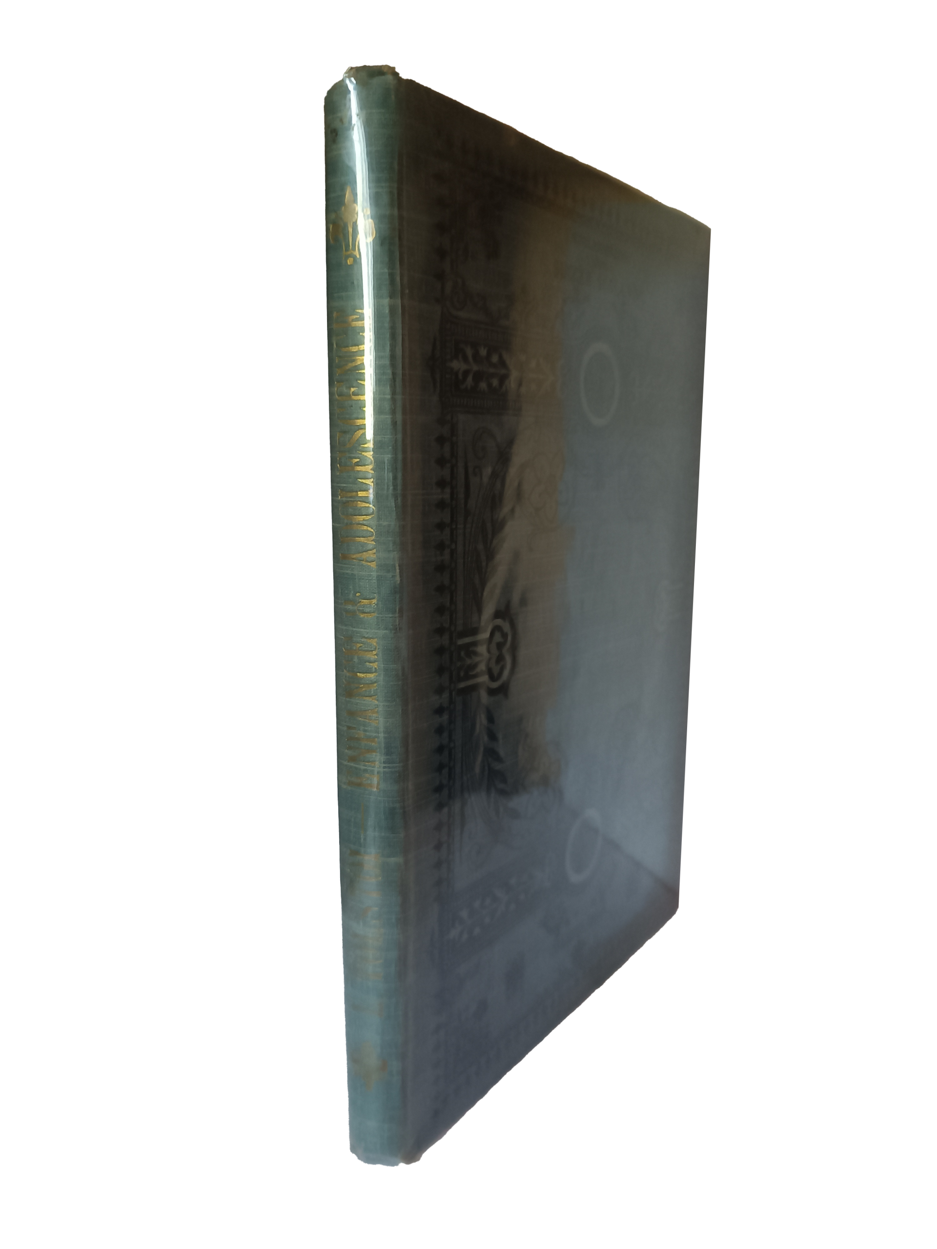 Enfance et adolescence - Léon Tolstoï