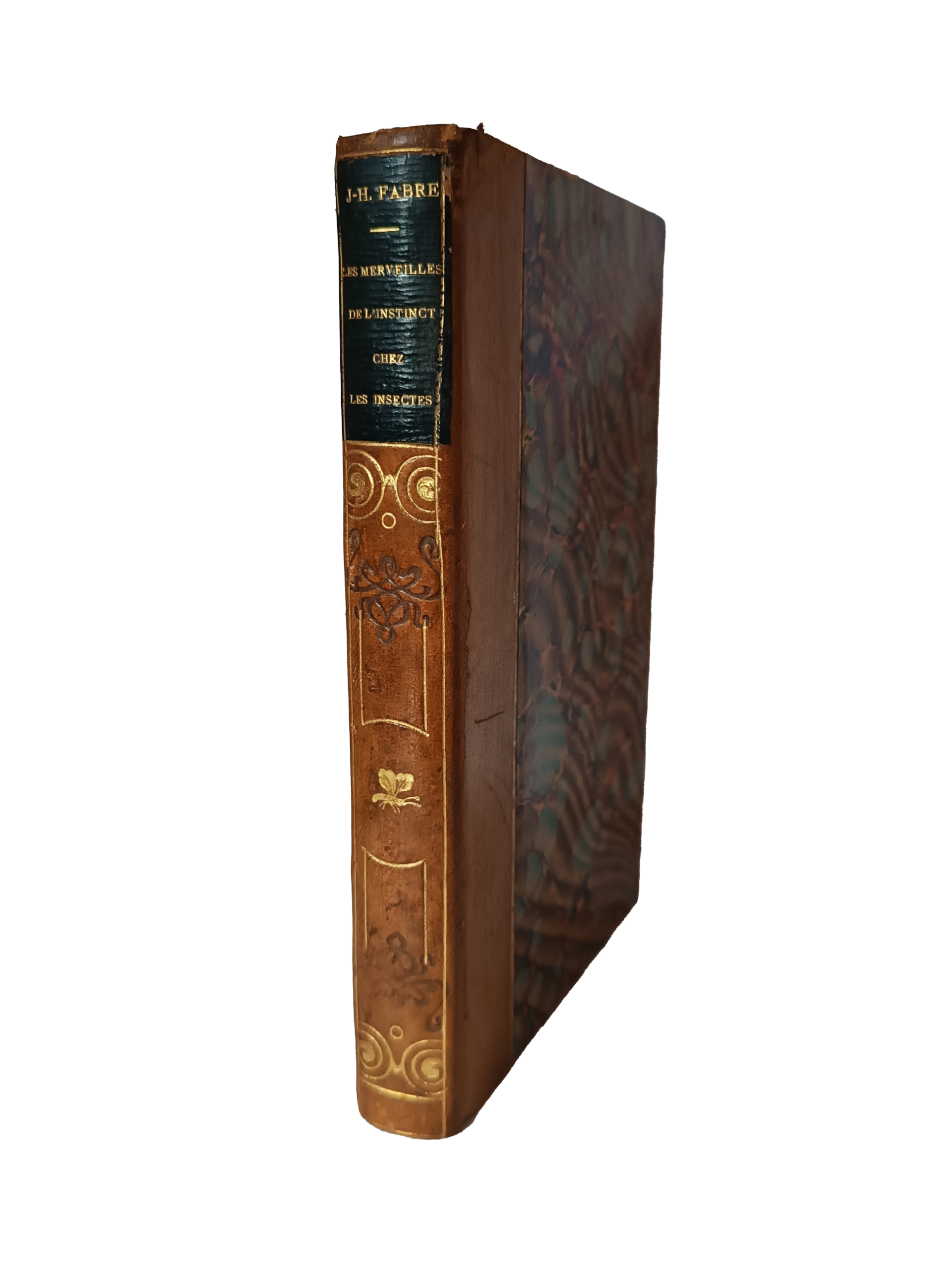 Les merveilles de l'instinct chez les insectes - J. -H. Fabre