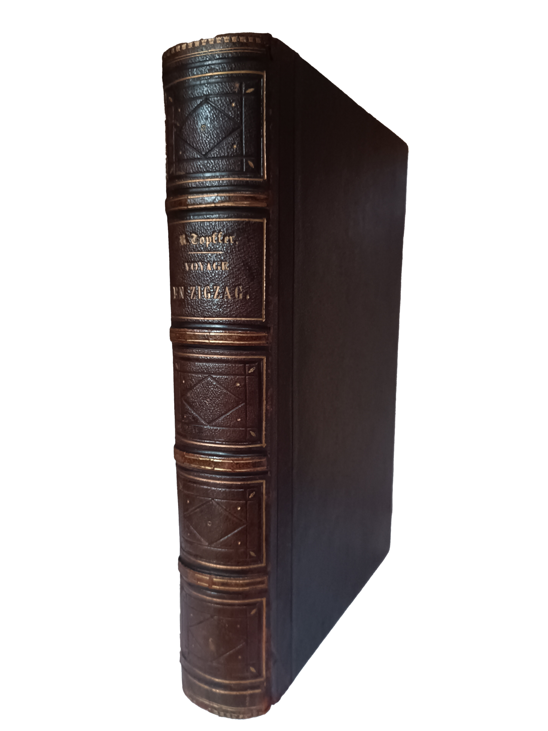 Voyage en Zigzag - Rodolphe Töpffer