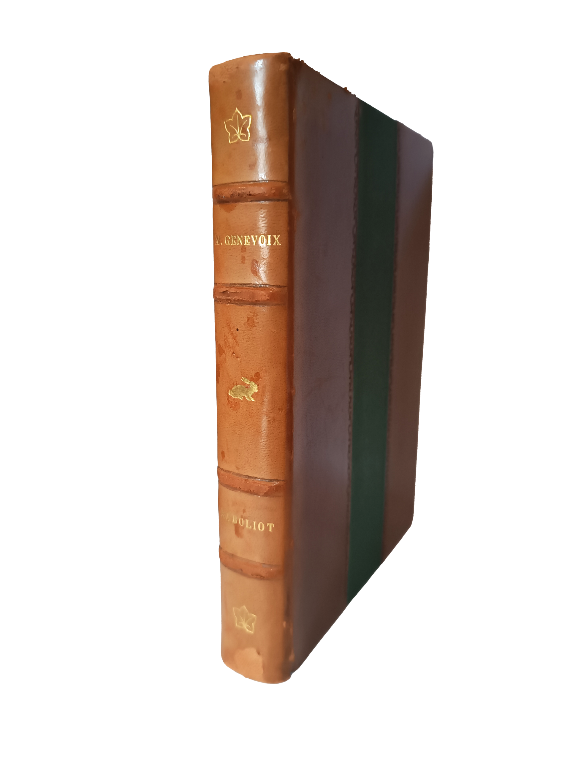 Raboliot - Maurice Genevoix