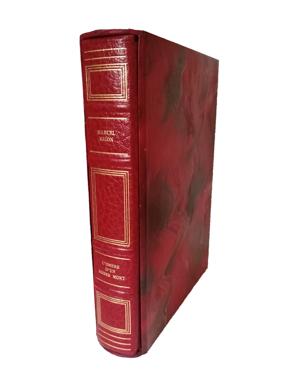 L'ombre d'un arbre mort - Marcel Brion
