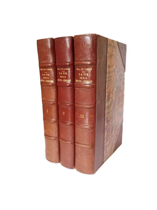 La vie de notre seigneur Jésus-Christ - Mgr Le Camus