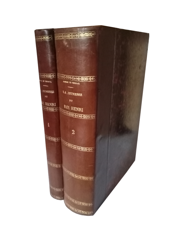 La jeunesse du roi Henri (IV) - Ponson du Terrail