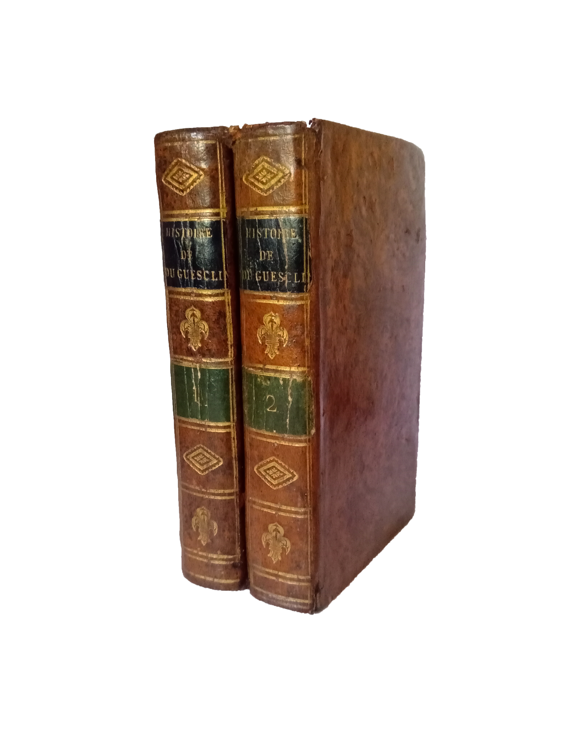 Histoire de Bertrand du Guesclin - Guyard de Berville