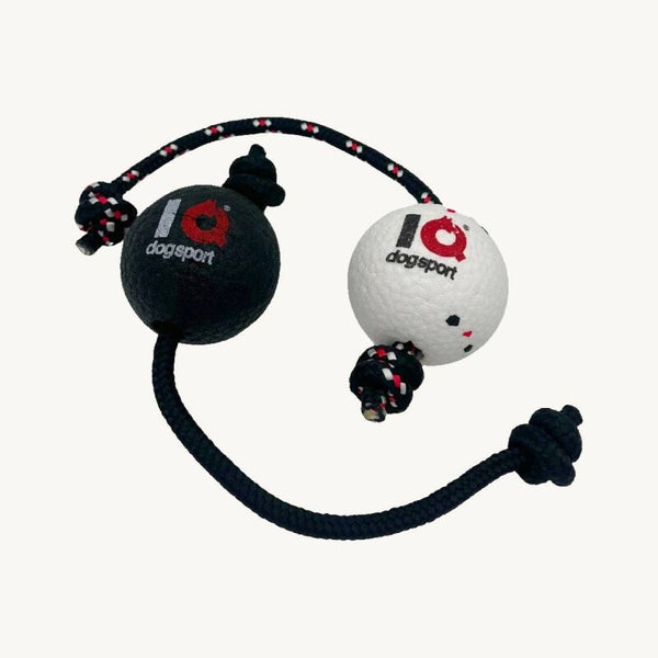 IQ Ball