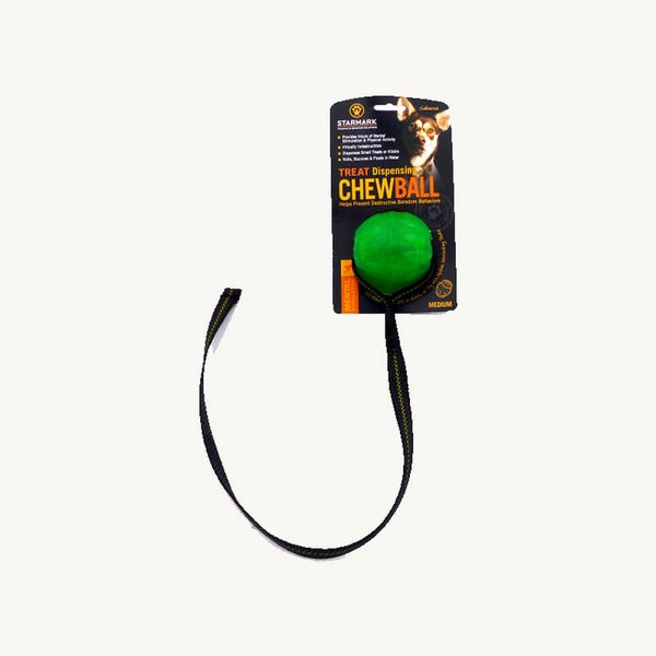 Starmark Everlasting Funball