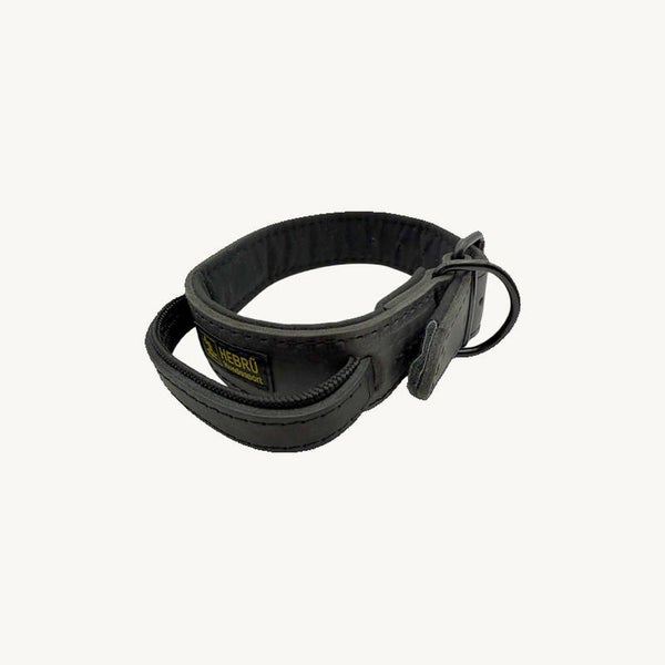 Hetzhalsband gefüttert mit Handschlaufe