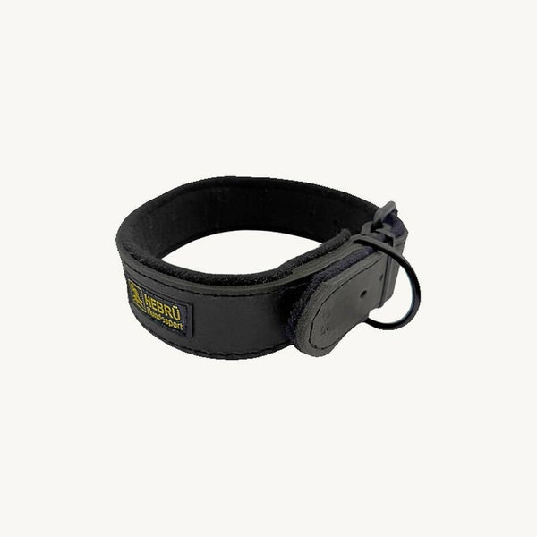Hetzhalsband gefüttert ohne Handschlaufe