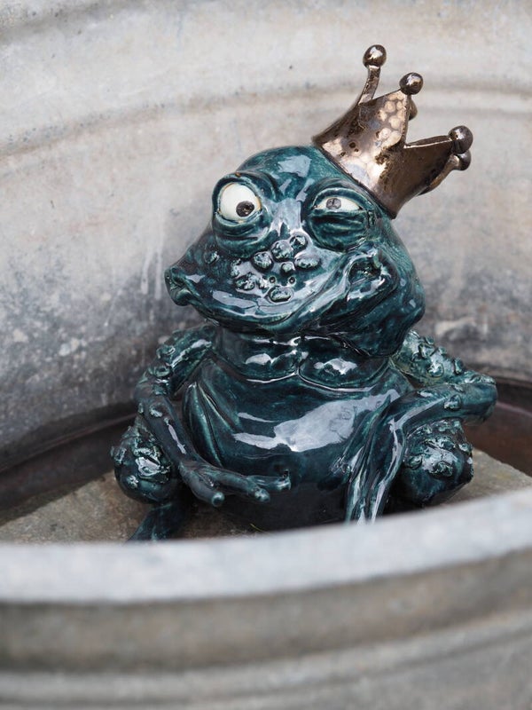 Schnupperkurs Küss den Frosch