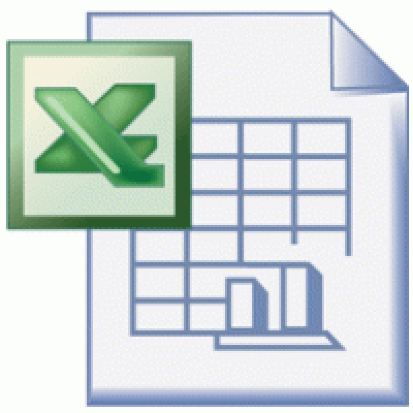 Excel: Analyse en rapportage