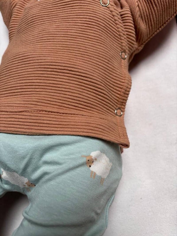 Broekje schaap blauw