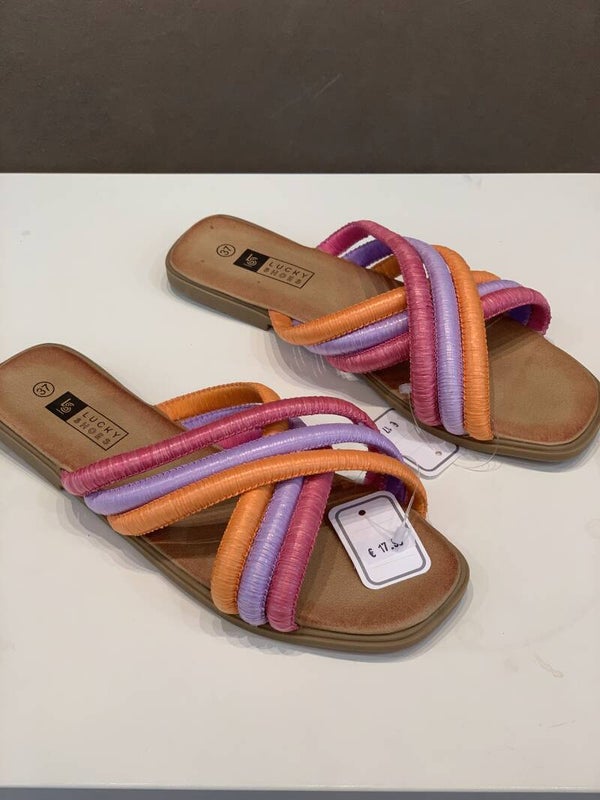 kleurrijk slippertje