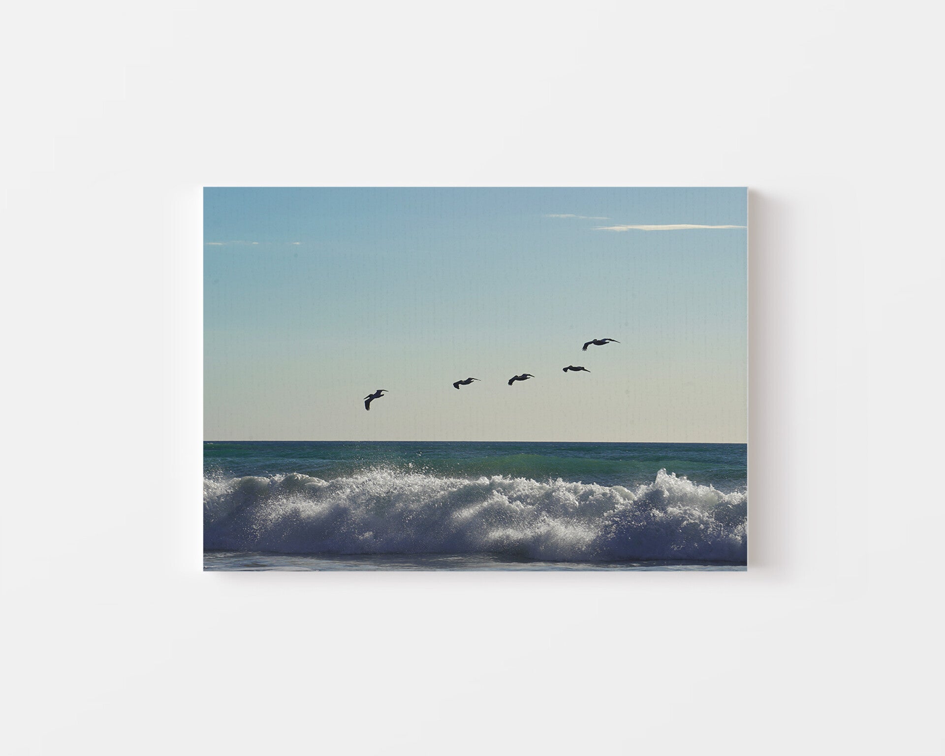 Birds above the pacific ocean