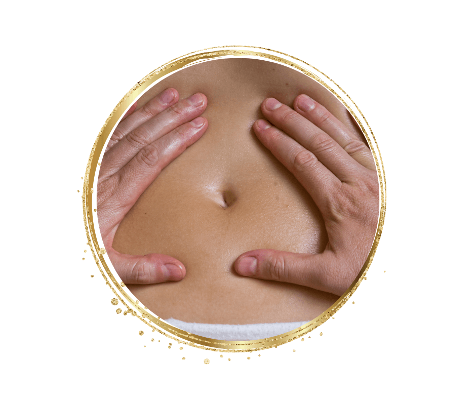 Energetik Hormon Wellness Seminar