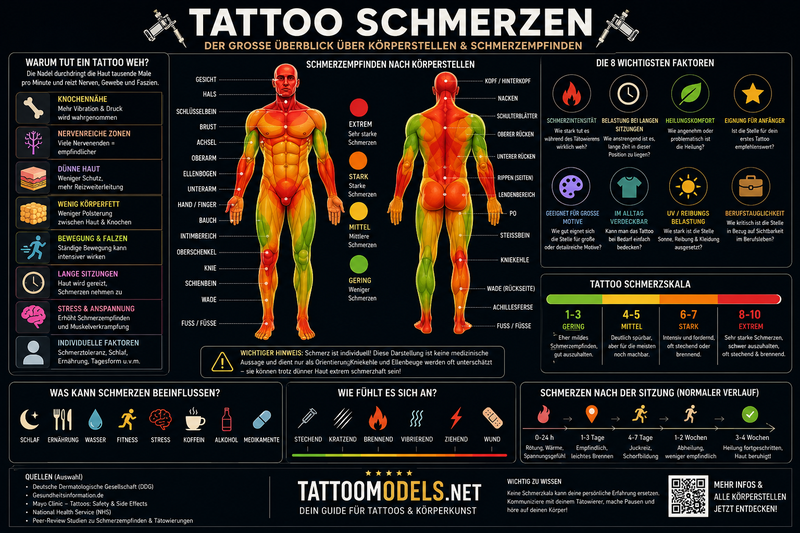 Infografik über Tattoo-Schmerzen mit Schmerzskala, empfindlichen Körperstellen, Einflussfaktoren und Tipps zum Schmerzempfinden beim Tätowieren