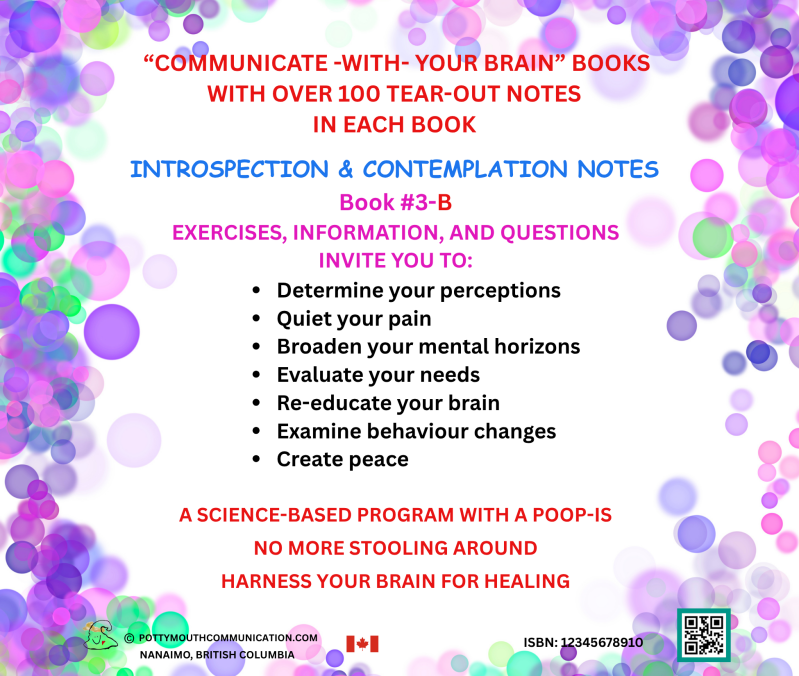 Potty Mouth Introspection & Contemplation Notes back cover book 3B
