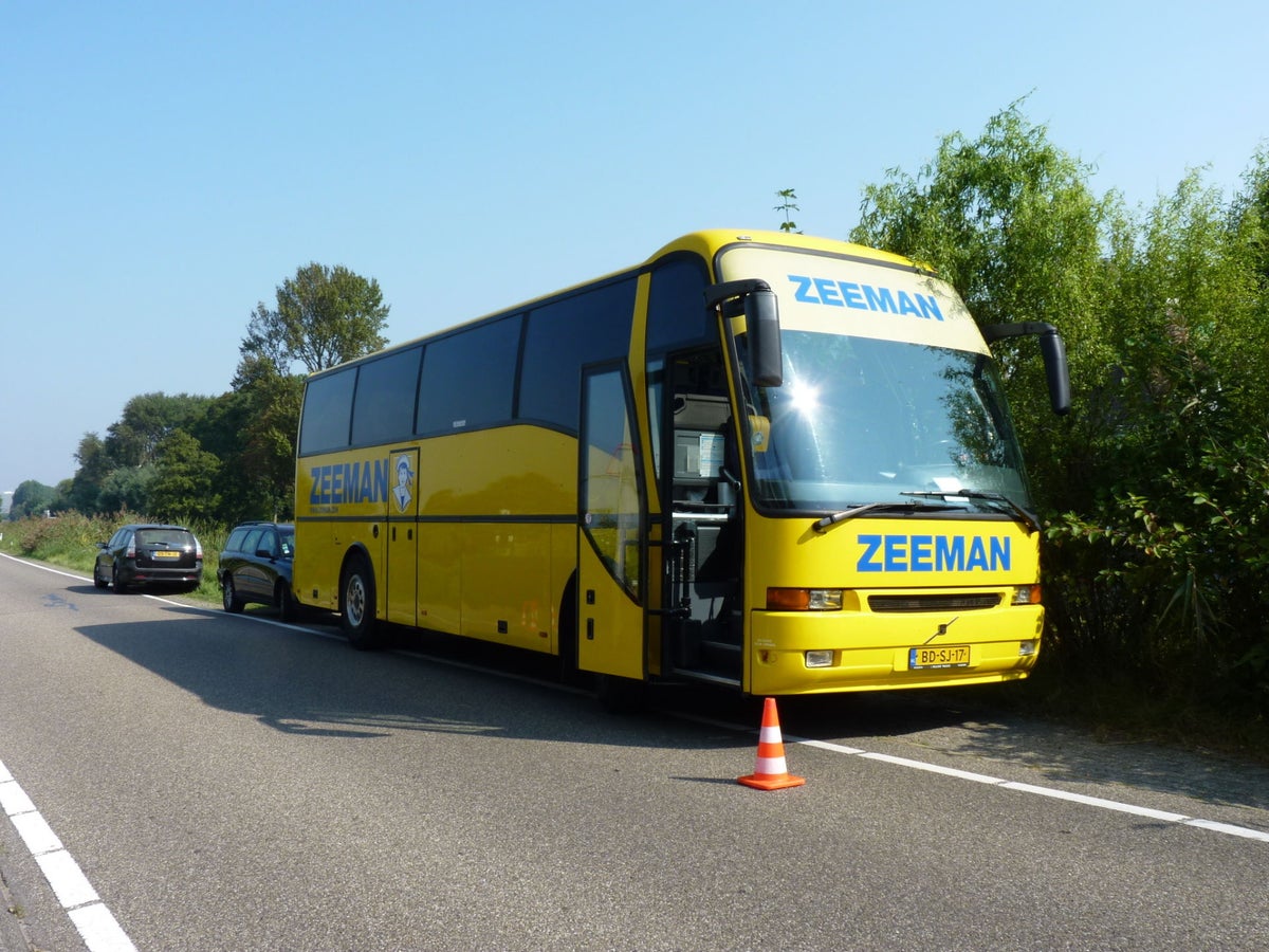 Zeeman / Z | buskees.nl