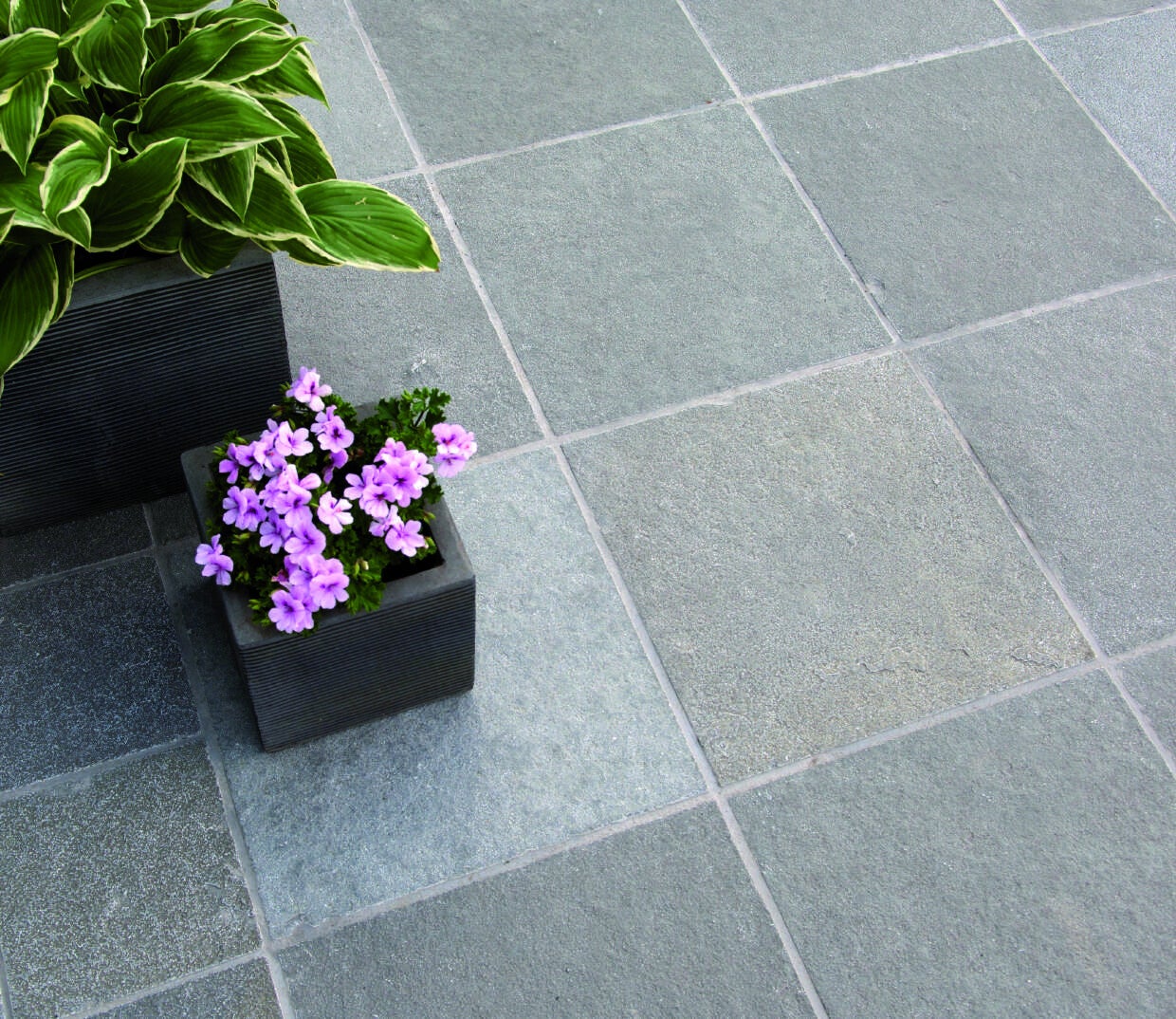 Dallage Indian Grey en pierre calcaire naturelle, finition vieillie