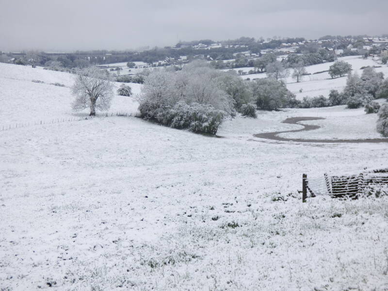 Foto van de 5 cm dikke sneeuwlaag in het land van Herve
