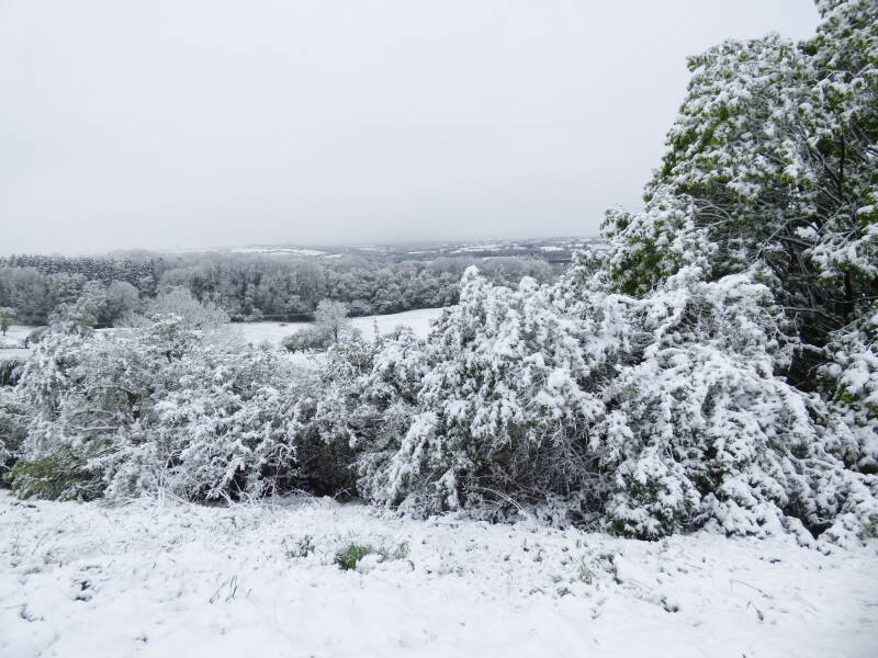 Foto van de 5 cm dikke sneeuwlaag in het land van Herve