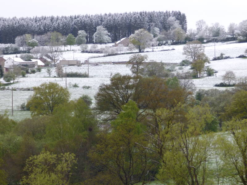Sneeuwgrens rond de 250m nabij Stavelot-Malmedy
