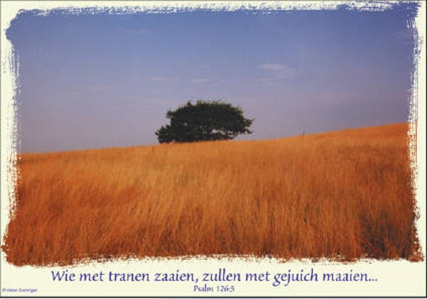 Miniposter 15004 - Psalm 126:5