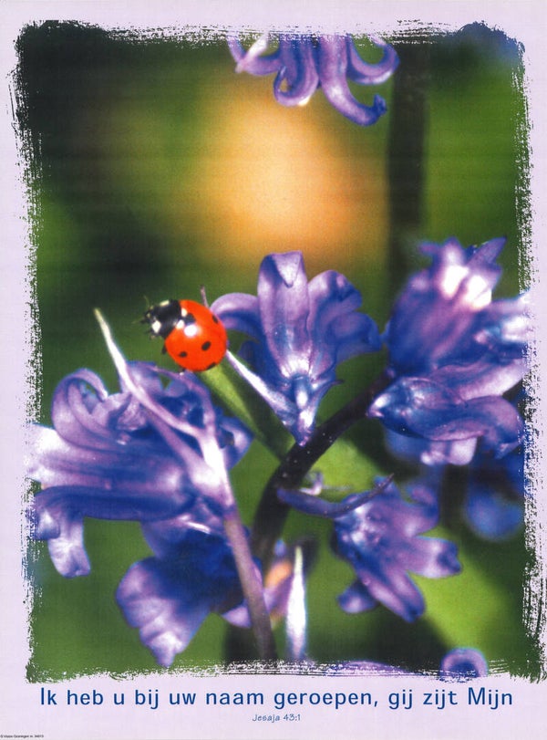 Poster 34013  -  Jesaja 43:1