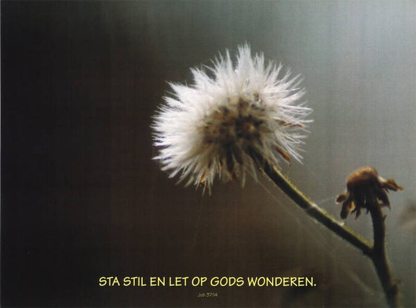 Poster 34030  -  Job 37:14