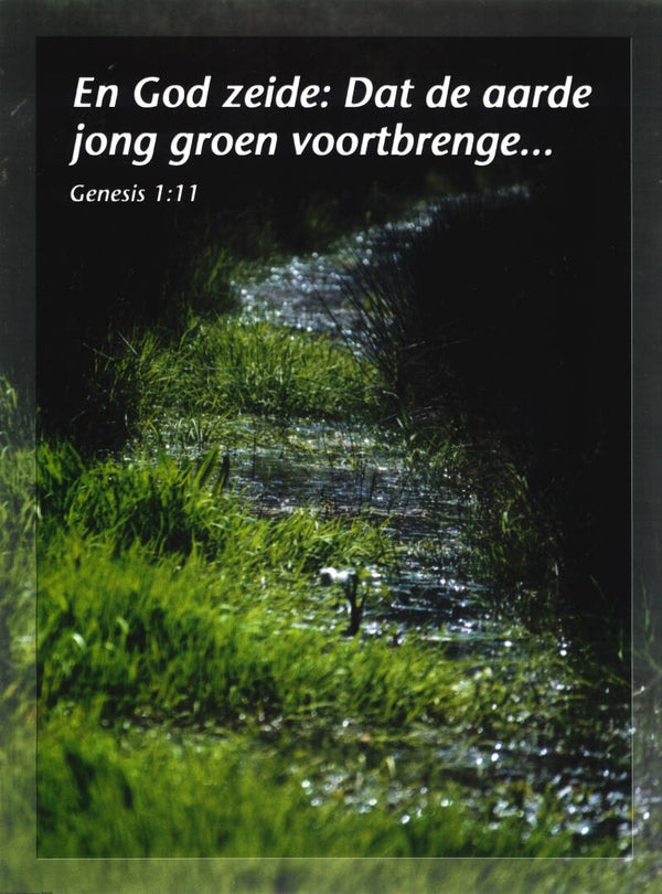 Poster 23046  -  Genesis 1:11