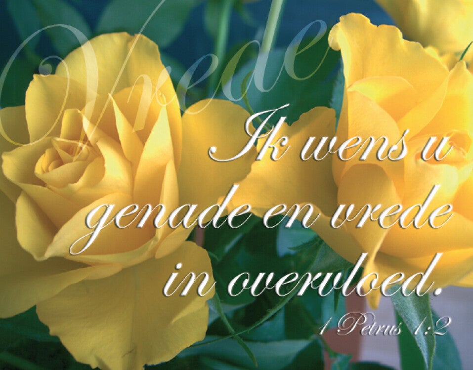 Kadokaartje KK38  -  Psalm 1:2