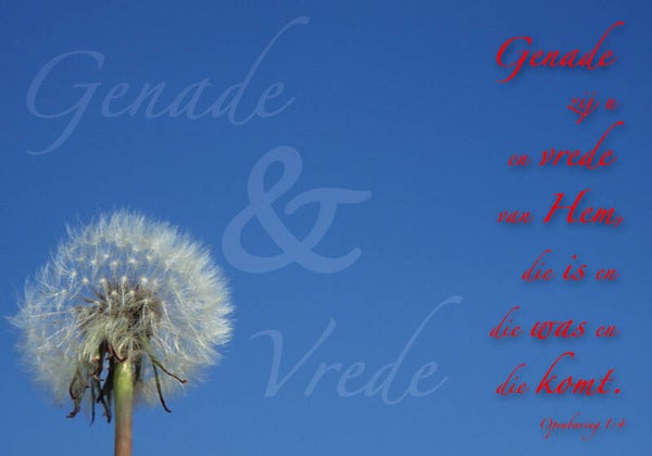 Set van 10 ansichtkaarten