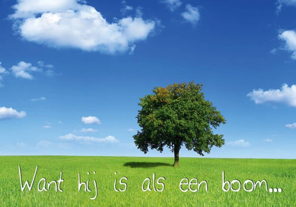 Ansichtkaart AK059  -  Want hij is als een boom...