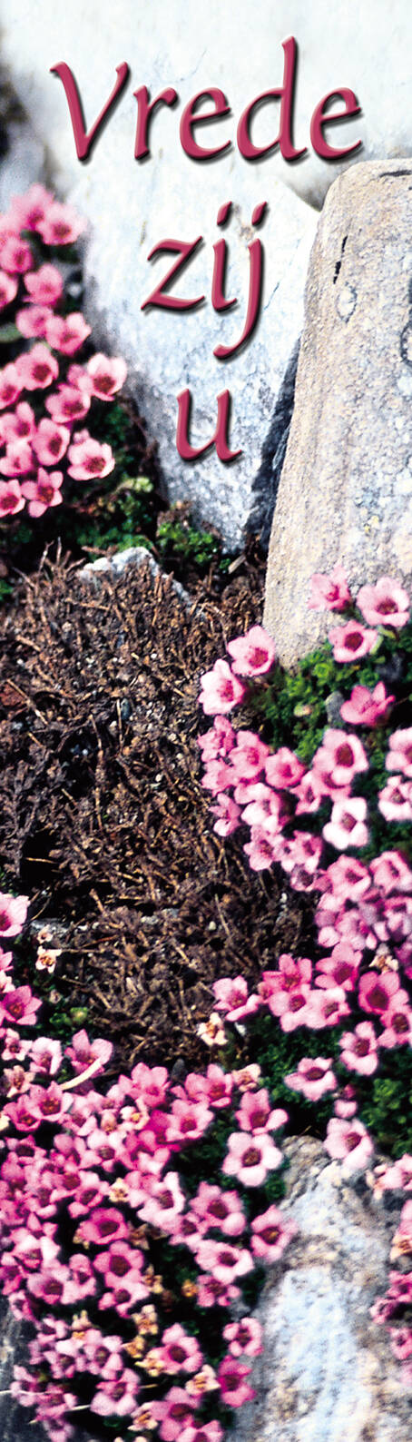 Christelijke boekenleggers