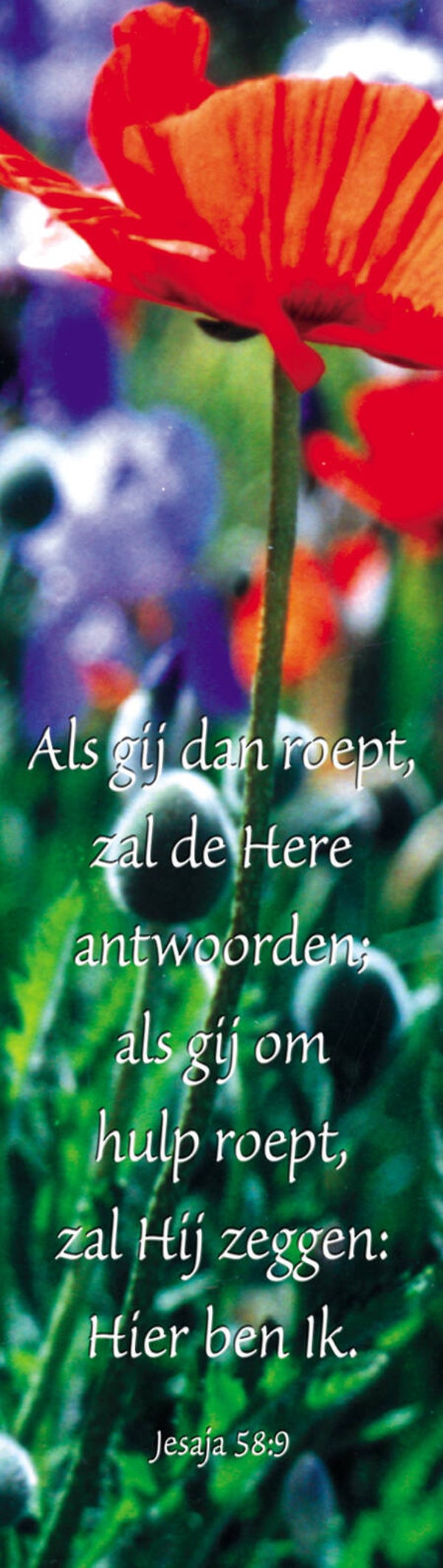 Boekenlegger BL12  - Jesaja 58:9