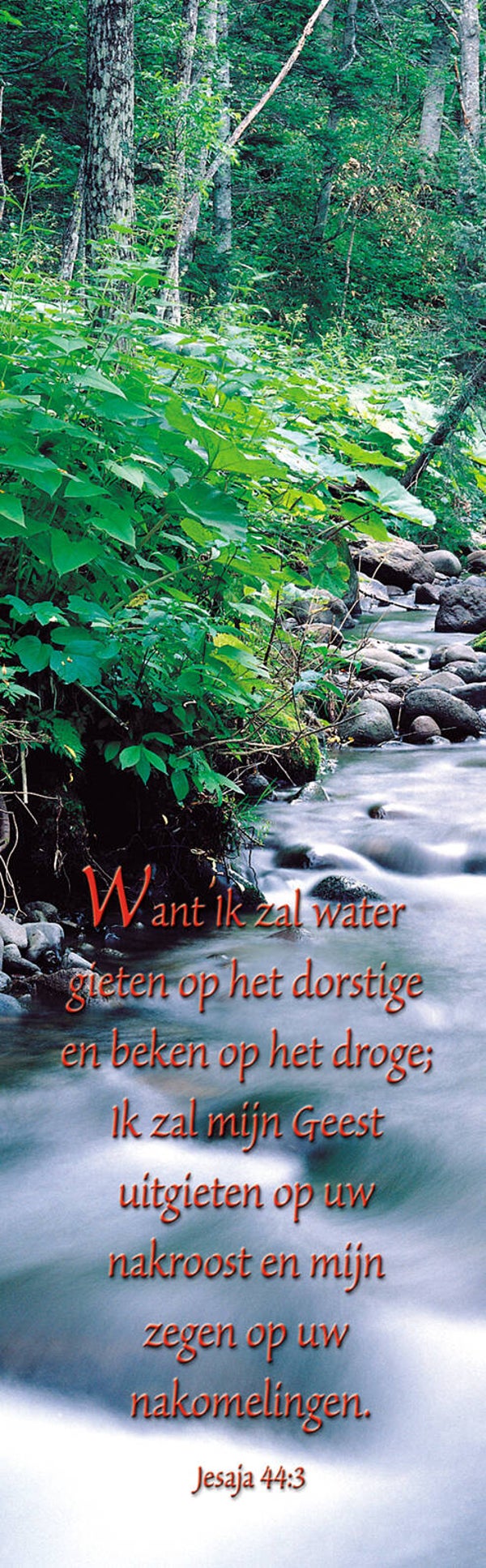 Boekenlegger BL21  -  Jesaja 44:3