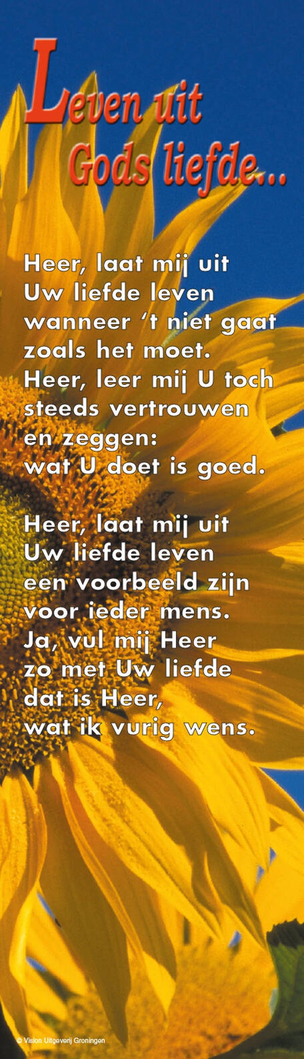 Boekenlegger BL38  -  Leven uit Gods liefde...