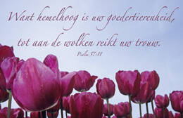 Christelijke bemoedigingskaartjes