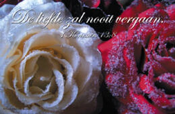 Bemoedigingskaartje CR14  -  1 Korintiërs 18:8