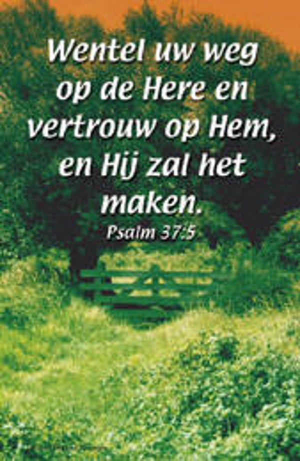 Bemoedigingskaartje CR25  -  Psalm 37:5