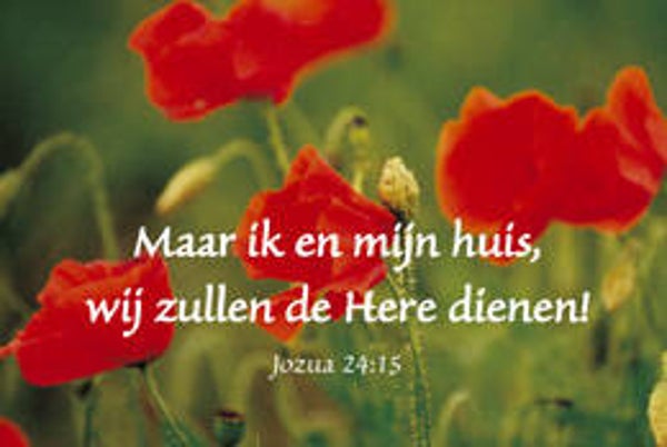 Bemoedigingskaartje CR28  -  Jozua 24:15