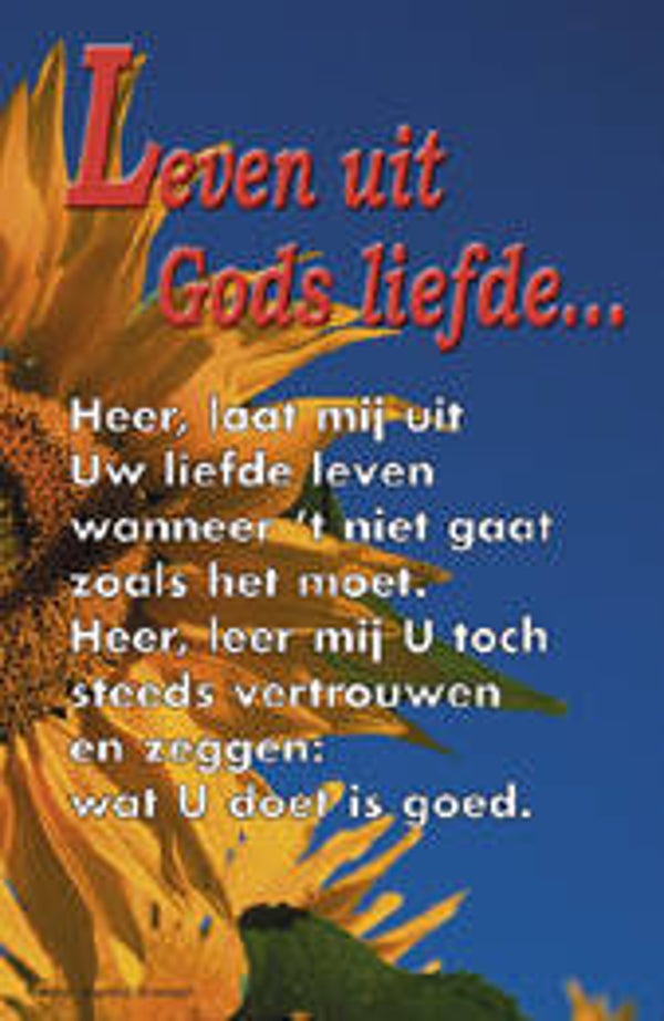 Bemoedigingskaartje CR38  -  Leven uit Gods liefde...