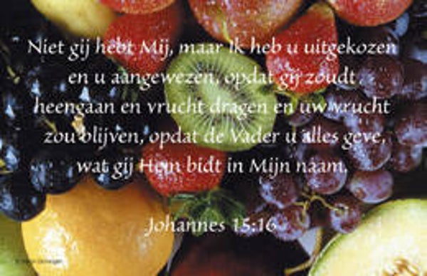 Bemoedigingskaartje CR51   -  Johannes 15:16