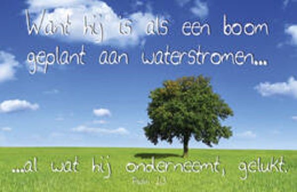 Bemoedigingskaartje CR61   -  Want hij is als een boom...