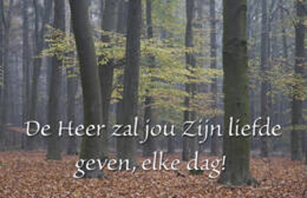 Bemoedigingskaartje CR62   -  De Heer zal jou Zijn liefde geven, elke dag!